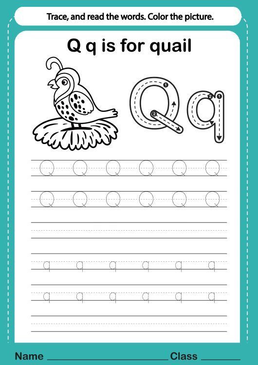 Çizgi Çalışmaları