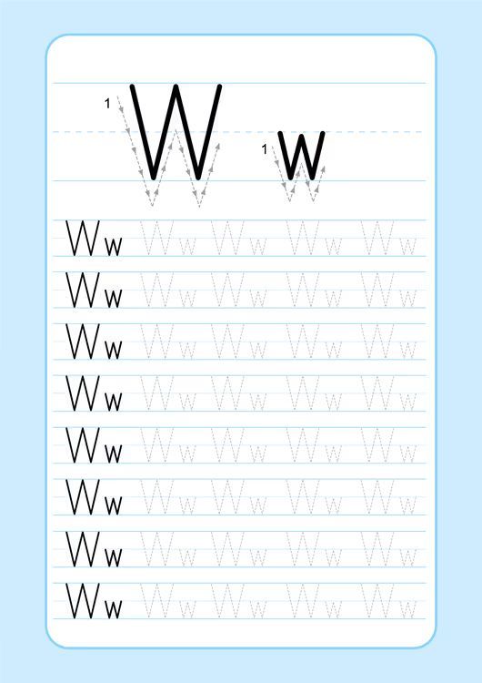 Çizgi Çalışmaları