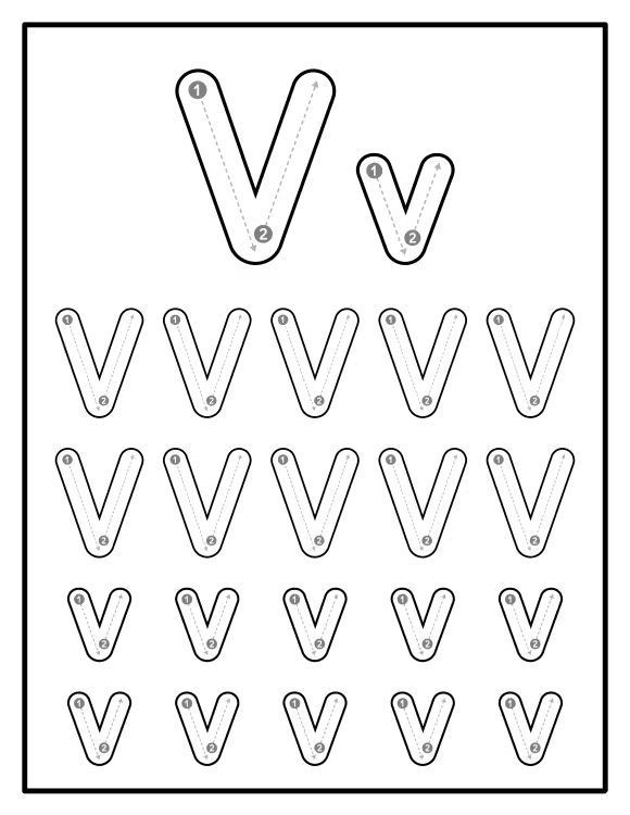 Çizgi Çalışmaları