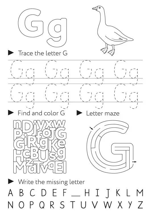 Çizgi Çalışmaları