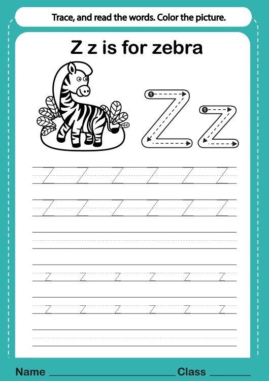 Çizgi Çalışmaları