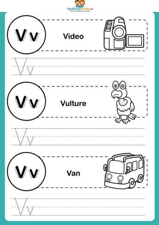 Çizgi Çalışmaları