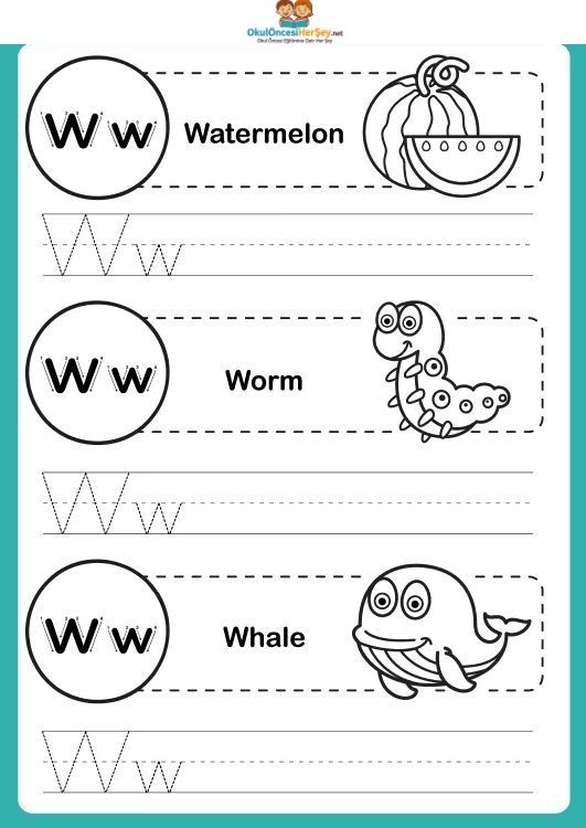 Çizgi Çalışmaları