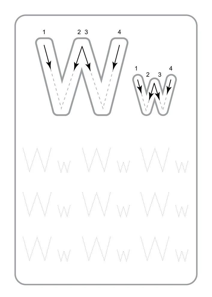 Çizgi Çalışmaları