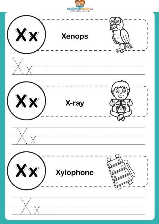 Çizgi Çalışmaları