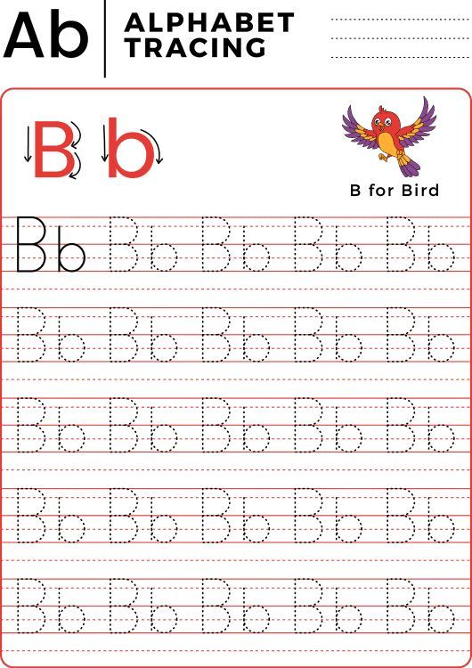 Çizgi Çalışmaları