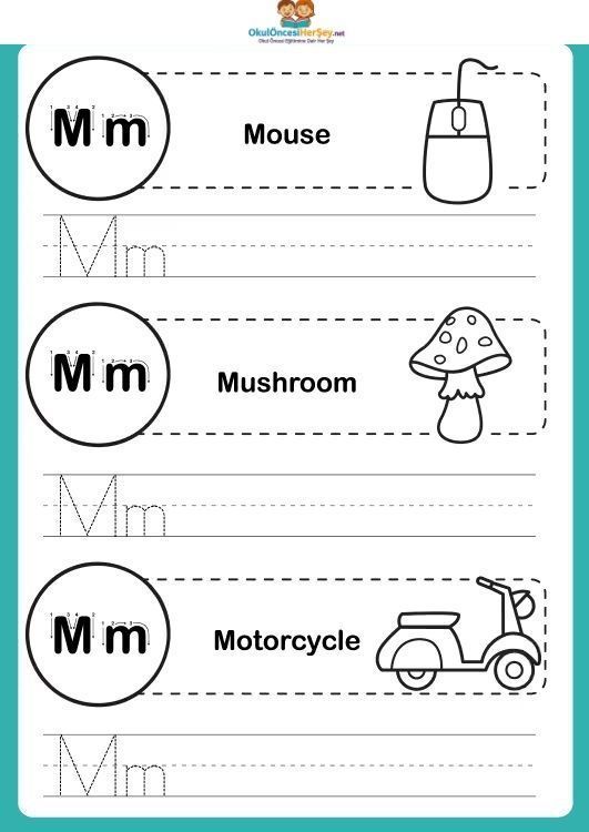 Çizgi Çalışmaları