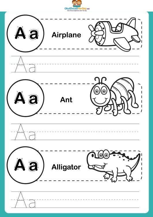 Çizgi Çalışmaları