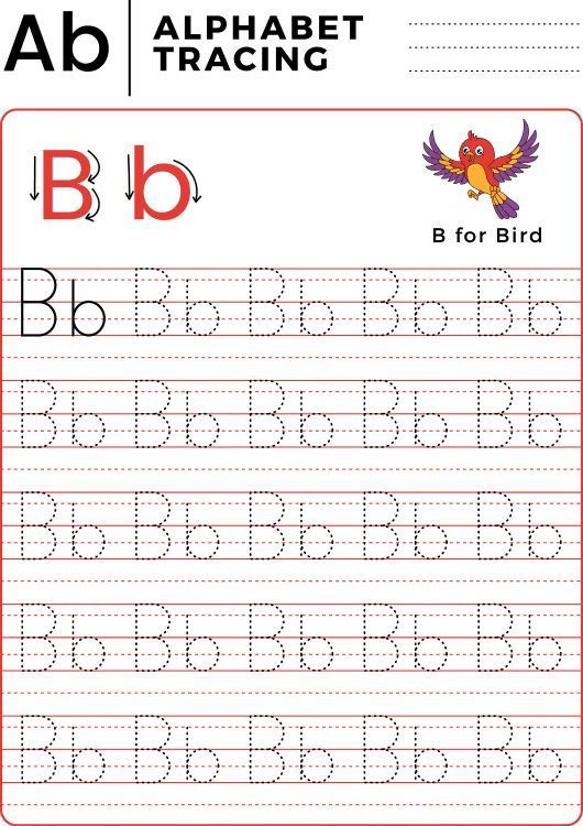 Çizgi Çalışmaları