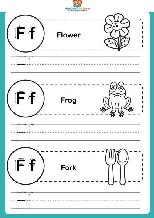 Çizgi Çalışmaları