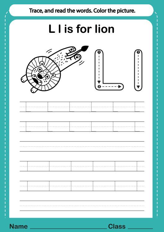 Çizgi Çalışmaları