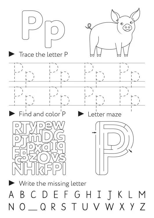 Çizgi Çalışmaları