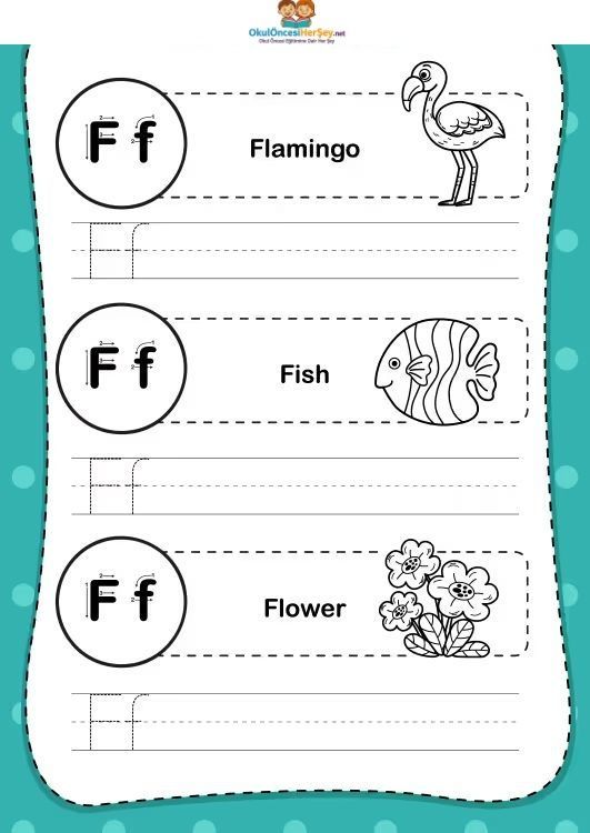 Çizgi Çalışmaları