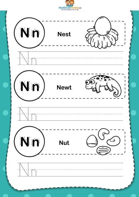 Çizgi Çalışmaları