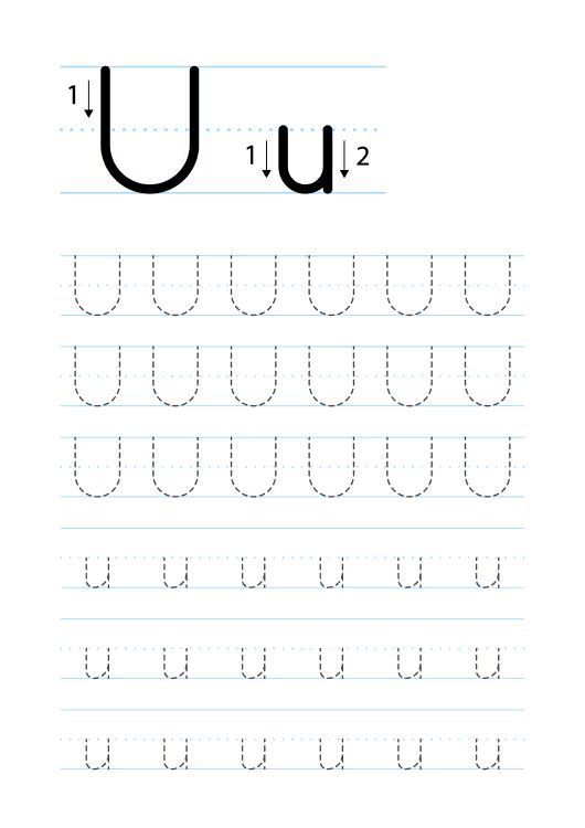 Çizgi Çalışmaları