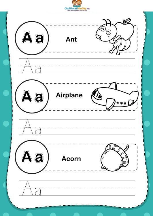 Çizgi Çalışmaları