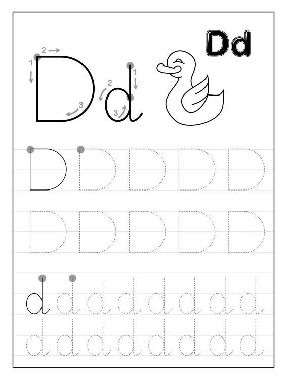 Çizgi Çalışmaları