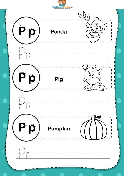 Çizgi Çalışmaları