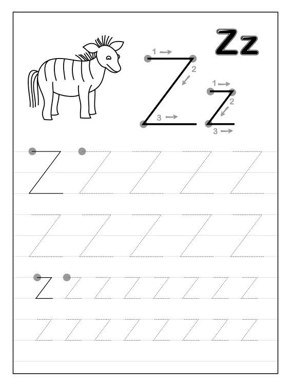 Çizgi Çalışmaları