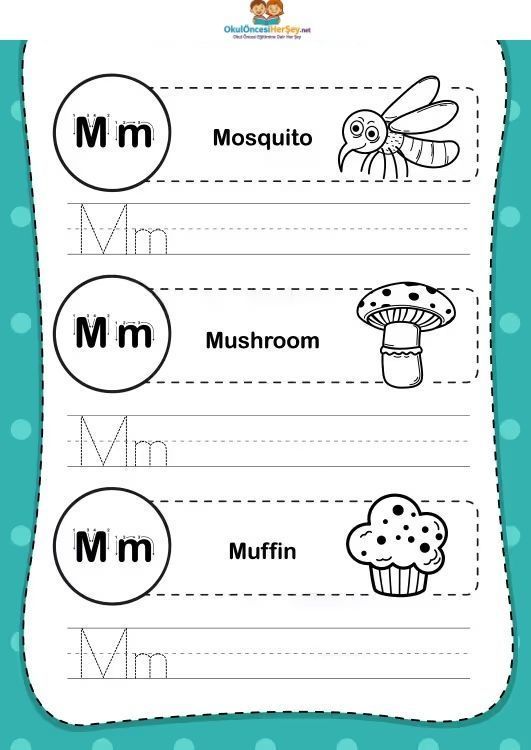 Çizgi Çalışmaları