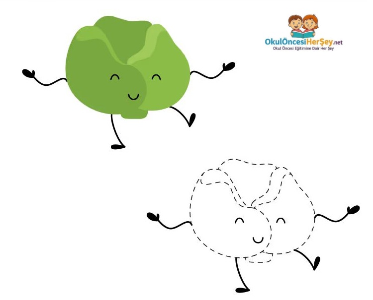 Çizgi Çalışmaları