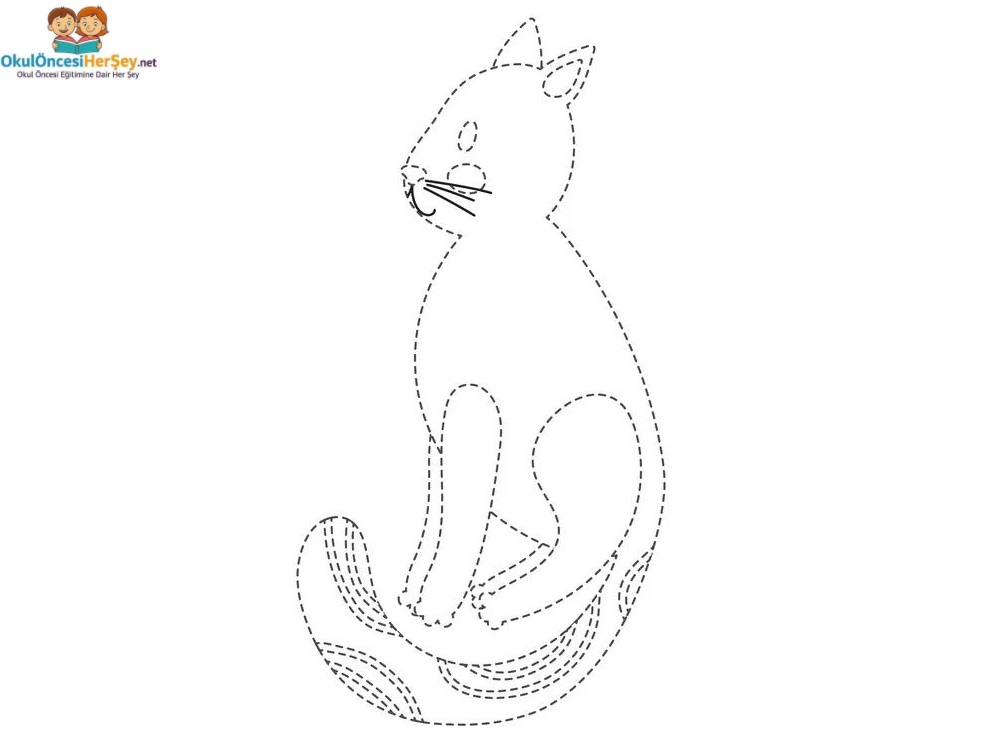 Çizgi Çalışmaları