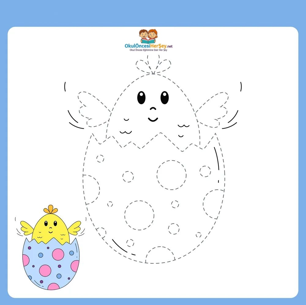 Çizgi Çalışmaları