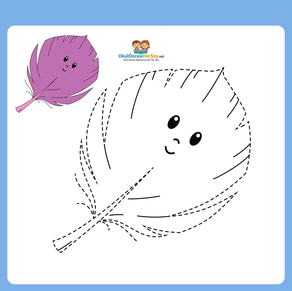 Çizgi Çalışmaları