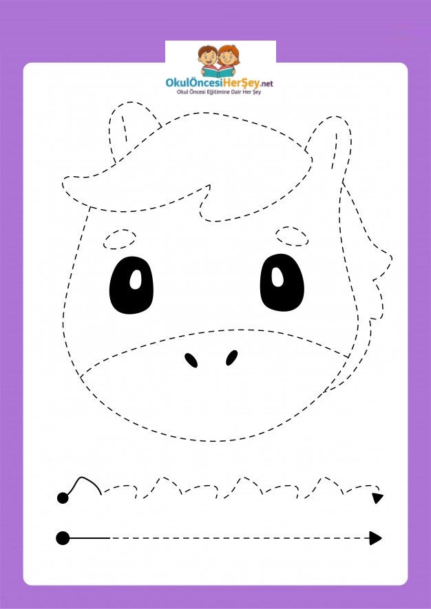 Çizgi Çalışmaları