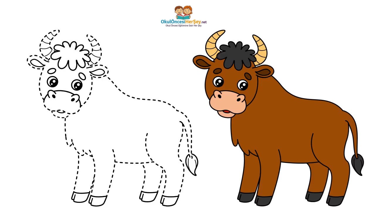 Çizgi Çalışmaları