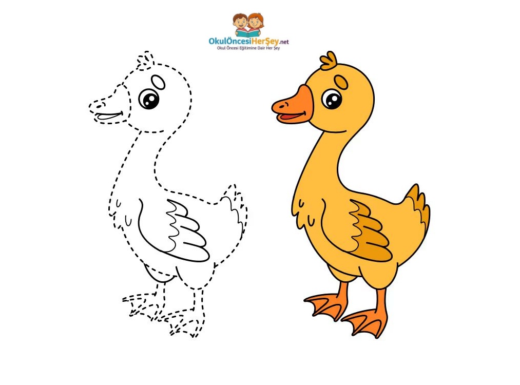 Çizgi Çalışmaları