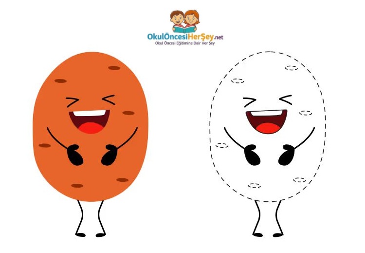 Çizgi Çalışmaları