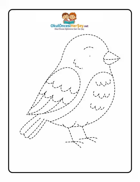 Çizgi Çalışmaları