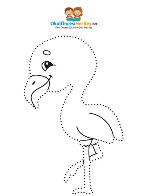 Çizgi Çalışmaları