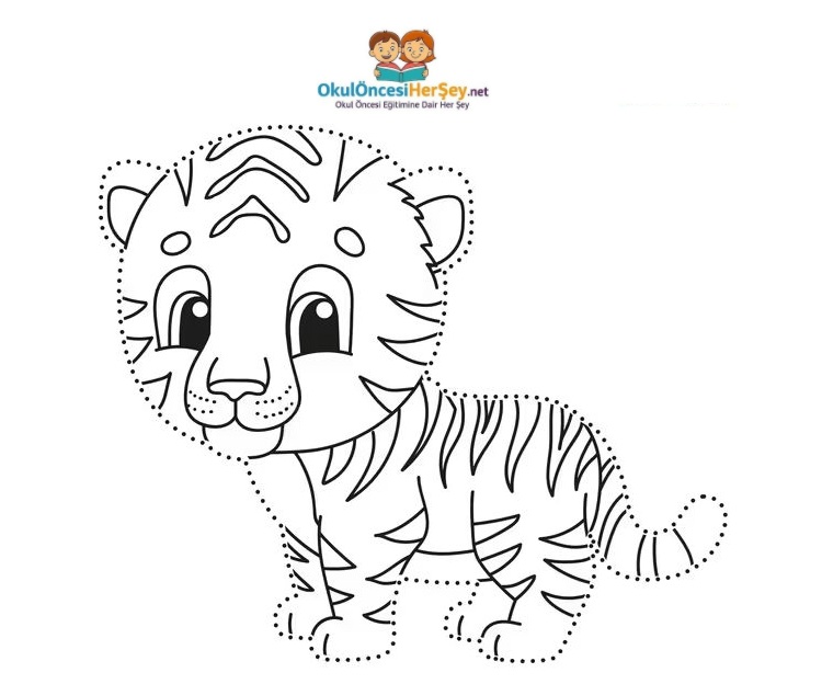 Çizgi Çalışmaları