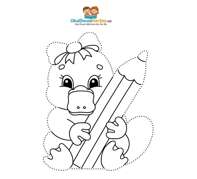 Çizgi Çalışmaları