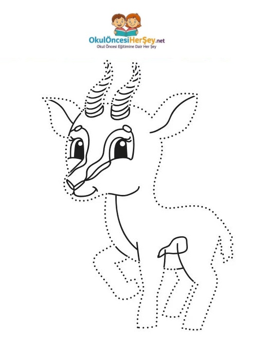 Çizgi Çalışmaları