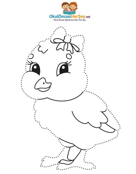 Çizgi Çalışmaları