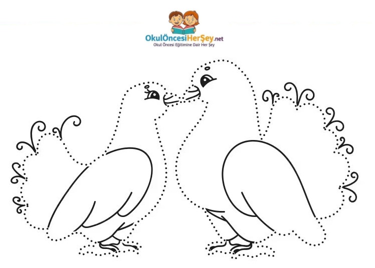 Çizgi Çalışmaları