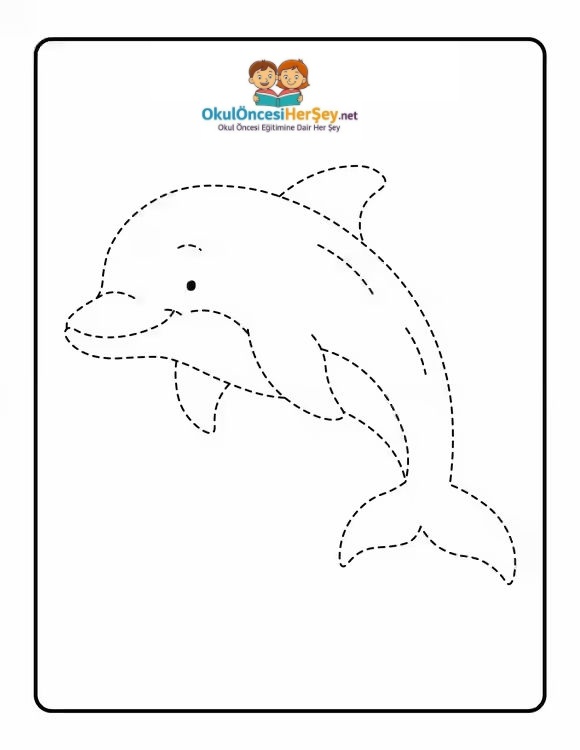 Çizgi Çalışmaları