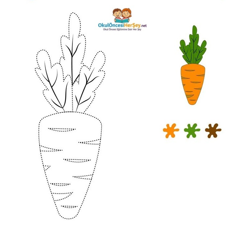 Çizgi Çalışmaları