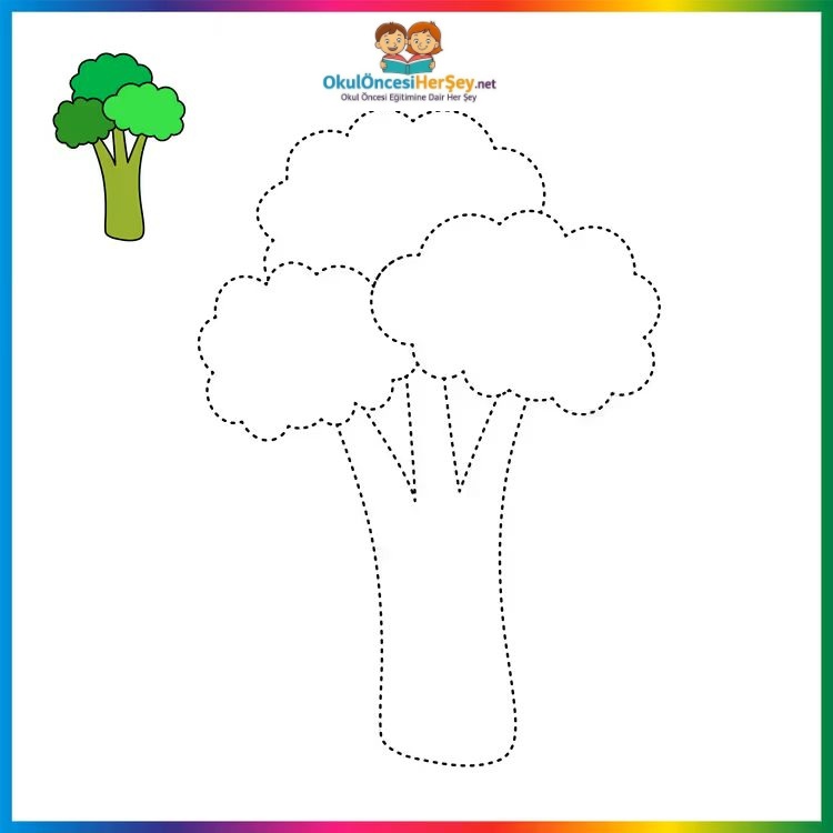 Çizgi Çalışmaları