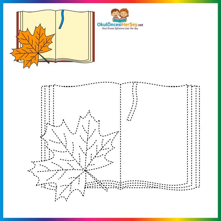 Çizgi Çalışmaları