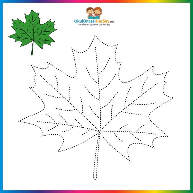 Çizgi Çalışmaları