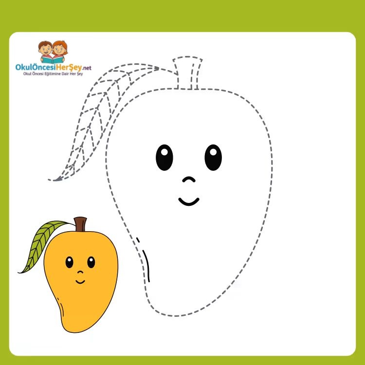 Çizgi Çalışmaları