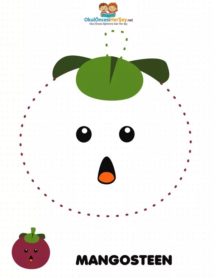 Çizgi Çalışmaları