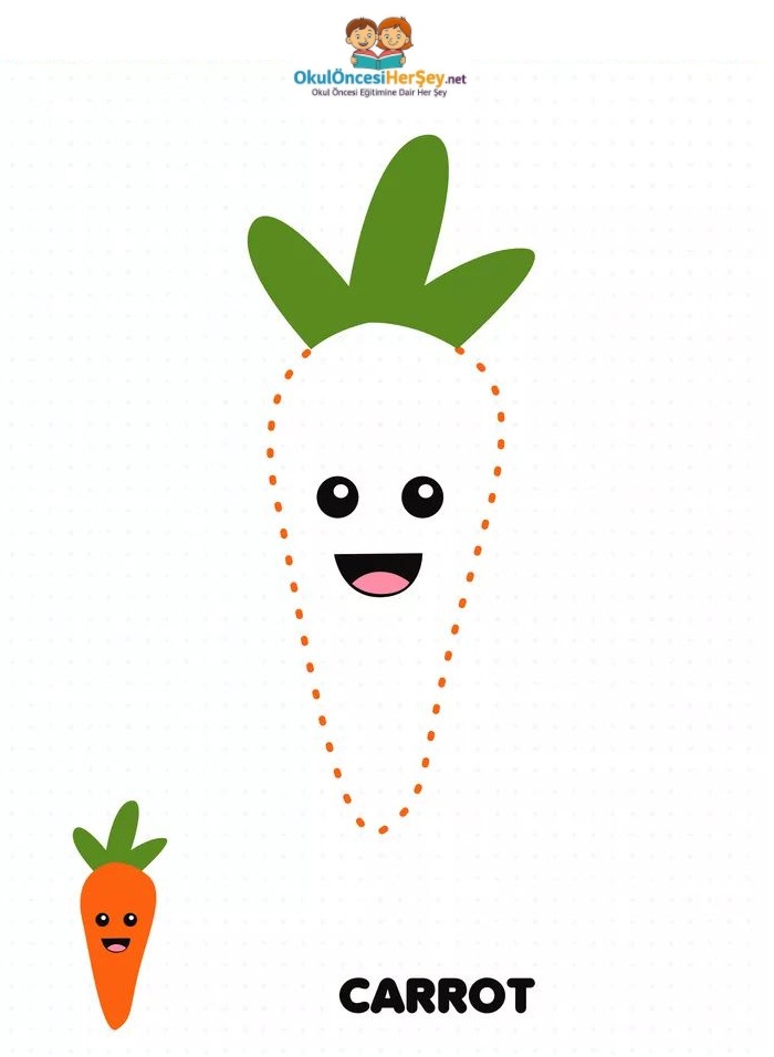 Çizgi Çalışmaları