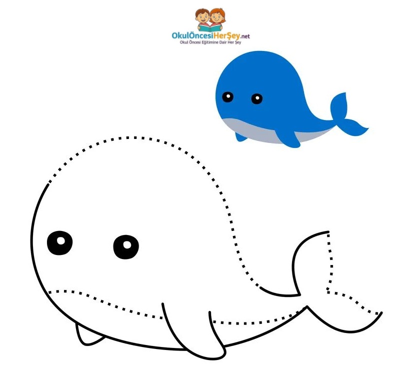 Çizgi Çalışmaları