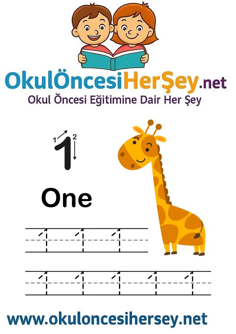 Çizgi Çalışmaları