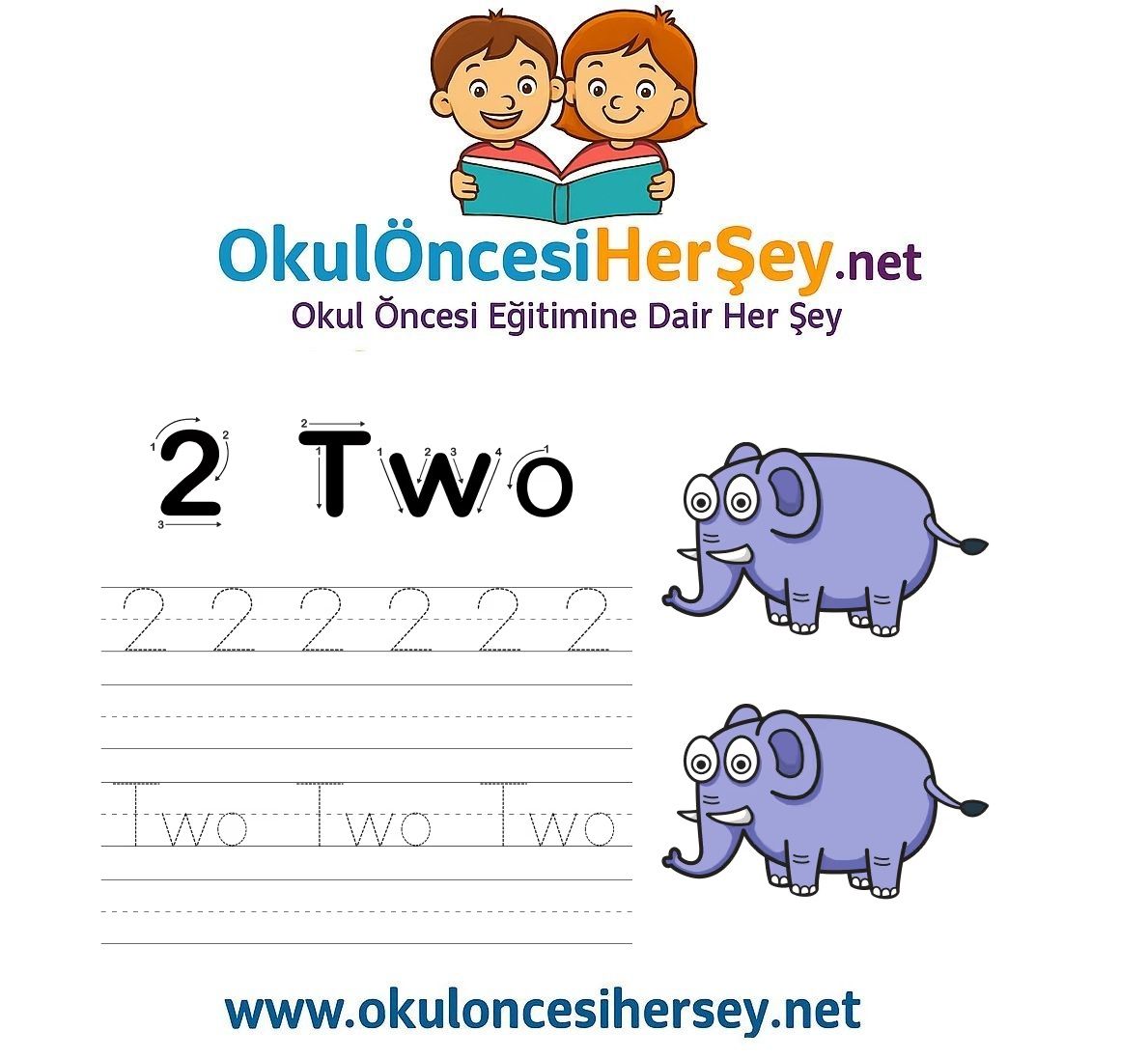 Çizgi Çalışmaları